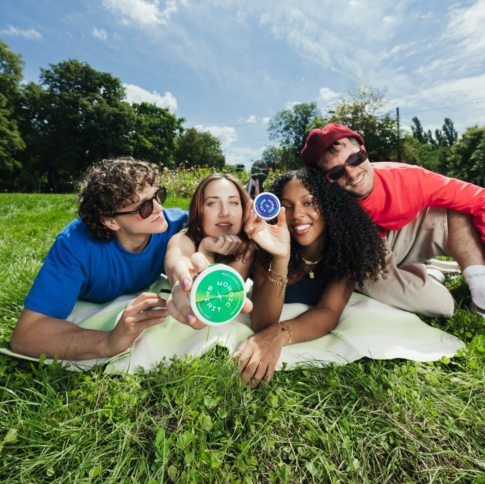 Freunde im Park auf Picknick Decke mit Nordic Spirit Dosen in der Hand.